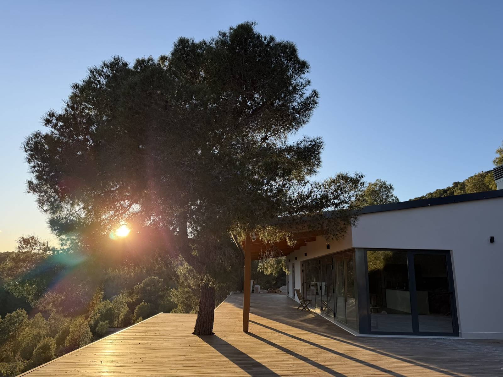 Casa Cura at sunset, with its wooden deck built around an old pine