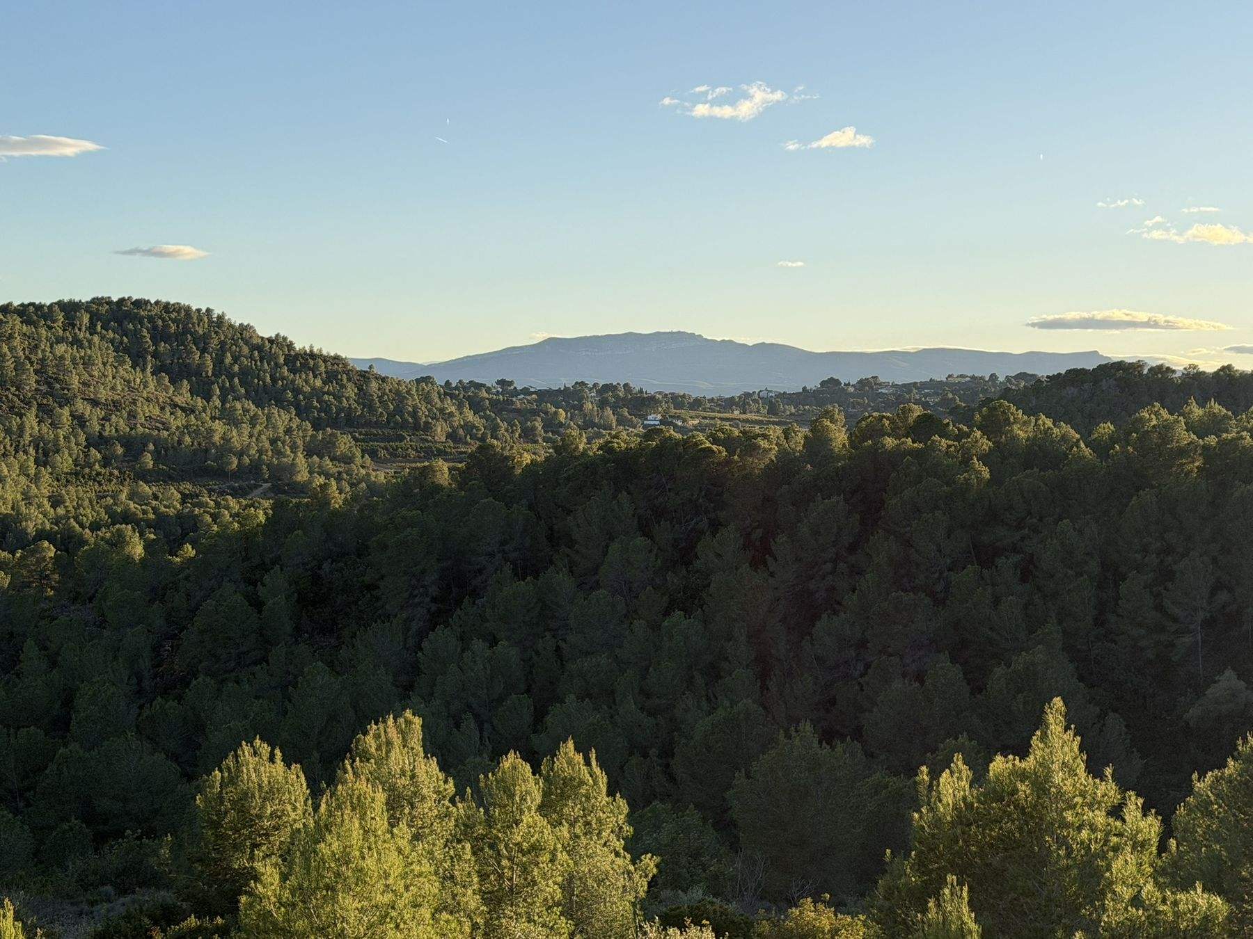 Landscape