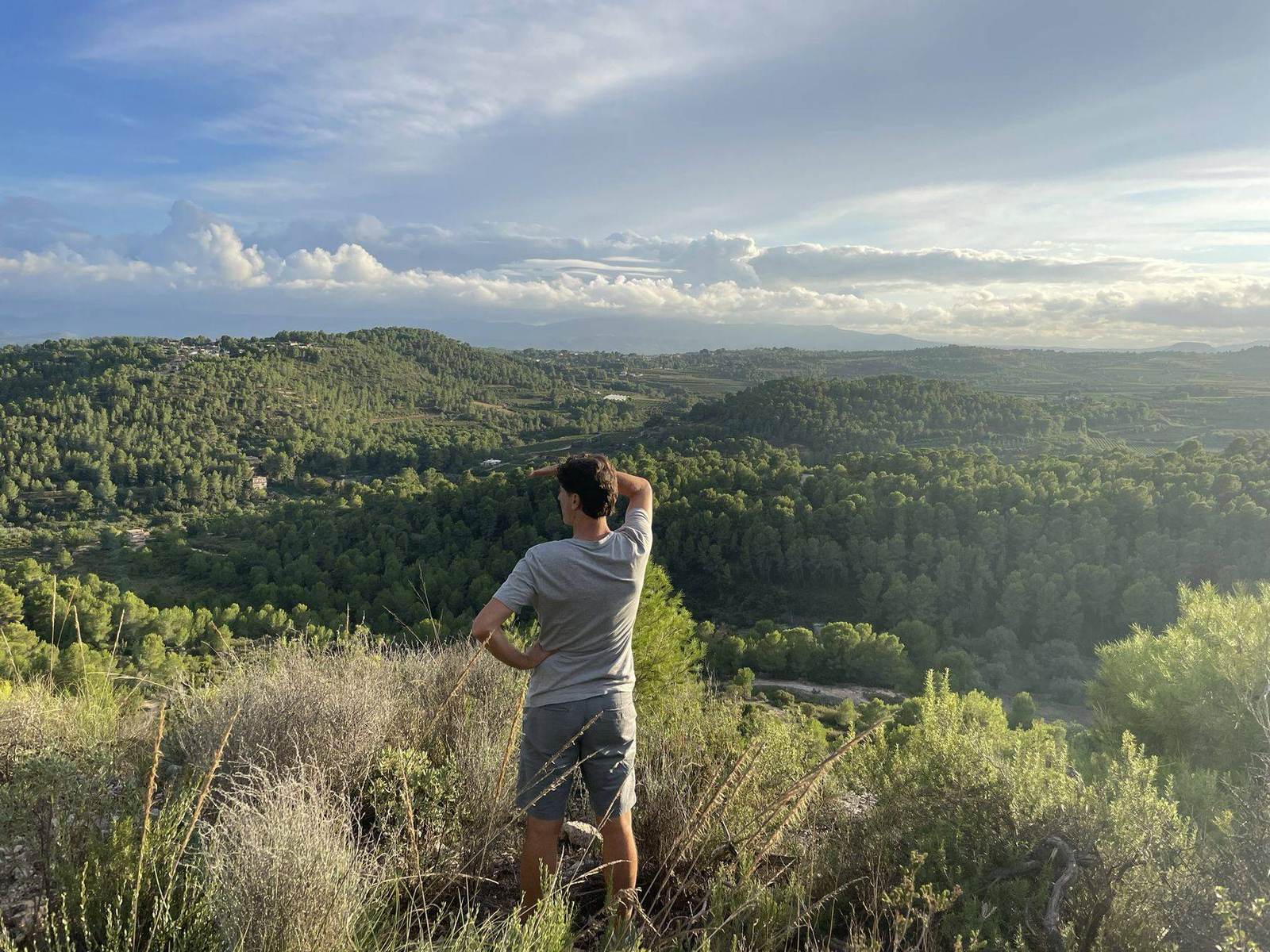 View over the green hills towards the mountains of Dos Aguas