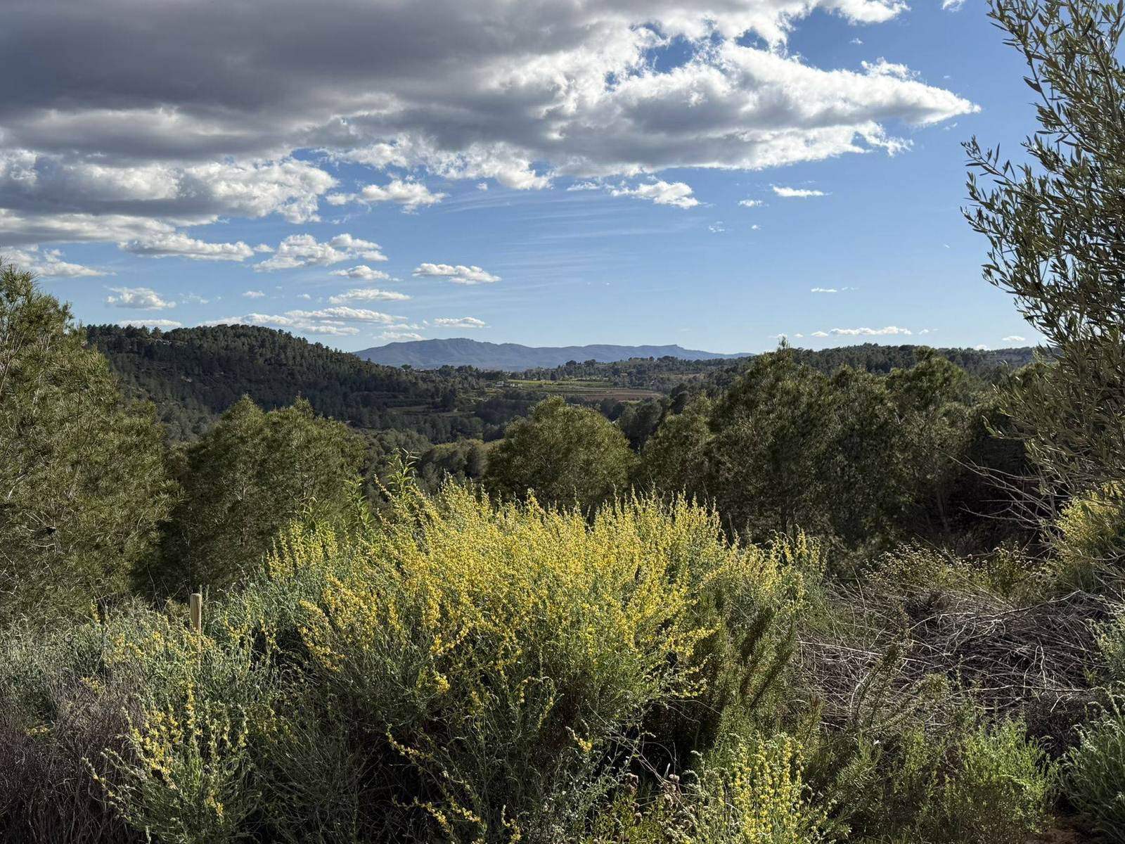 Viewpoint at Cura over the valley